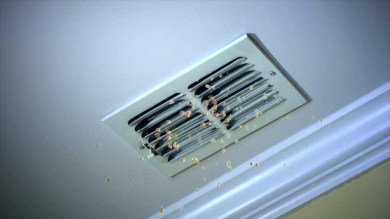  Englewood, FL Airduct Cleaning Pros
