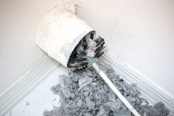 Best Best Air Duct Cleaning Near Me  in Englewood, FL